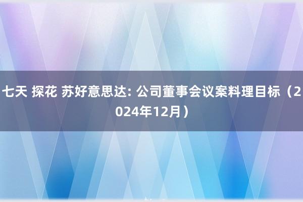 七天 探花 苏好意思达: 公司董事会议案料理目标（2024年